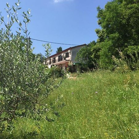 Apartment Cimbora, Salara Farmhouse Κόπερ Εξωτερικό φωτογραφία