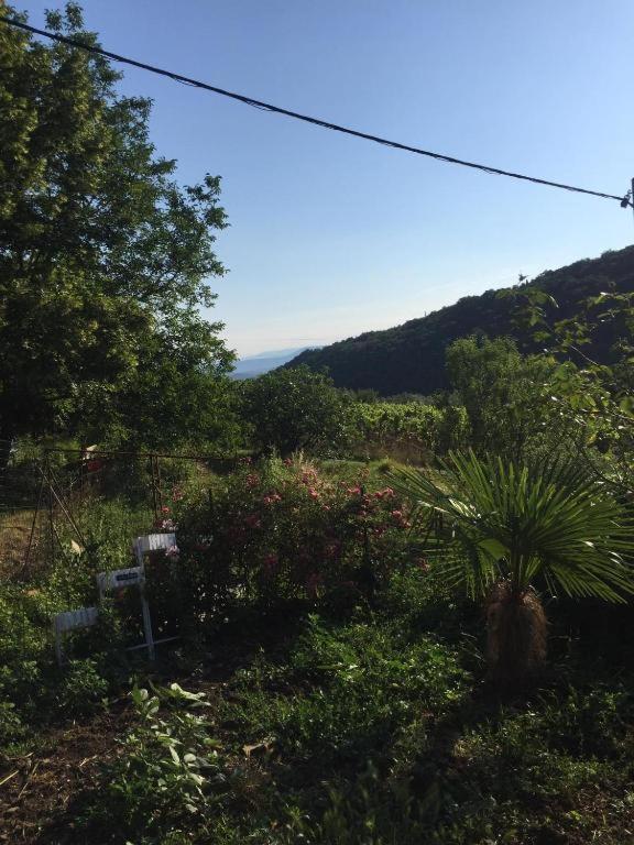 Apartment Cimbora, Salara Farmhouse Κόπερ Εξωτερικό φωτογραφία