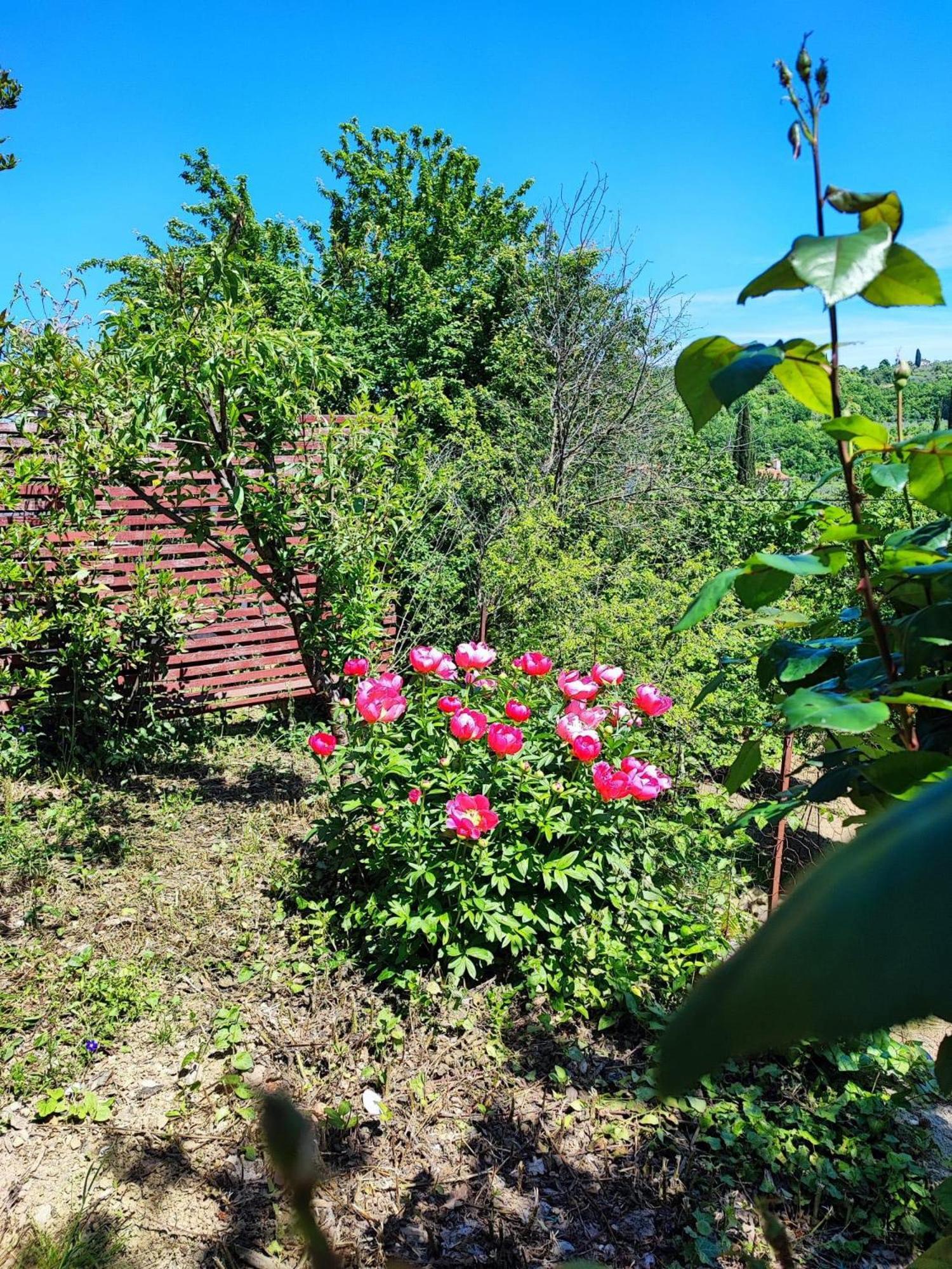 Apartment Cimbora, Salara Farmhouse Κόπερ Εξωτερικό φωτογραφία