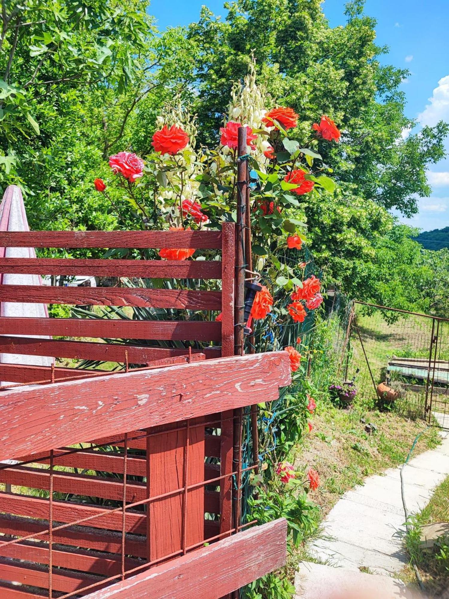 Apartment Cimbora, Salara Farmhouse Κόπερ Εξωτερικό φωτογραφία