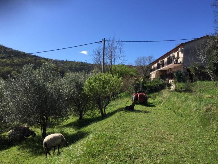 Apartment Cimbora, Salara Farmhouse Κόπερ Εξωτερικό φωτογραφία