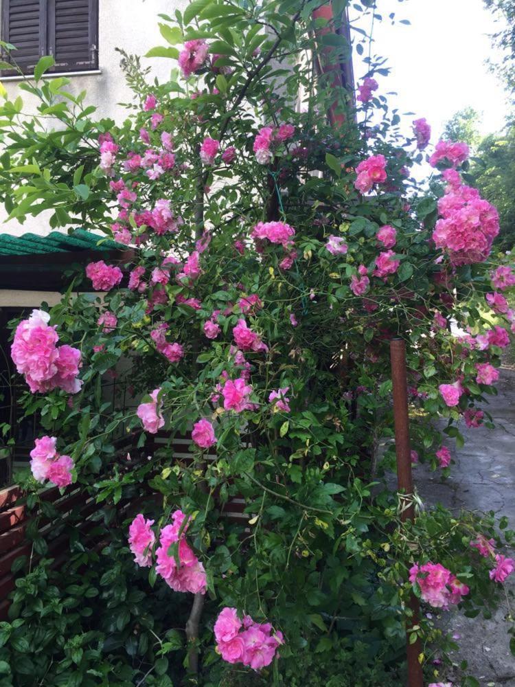 Apartment Cimbora, Salara Farmhouse Κόπερ Εξωτερικό φωτογραφία